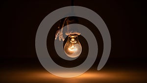 Simplicity and contrast emphasize the bulb s shape and the texture of