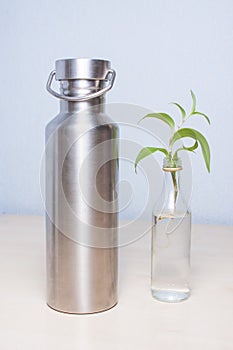 Simplicity: miniature old liquor bottle repurposed as a vase for the Tradescantia plant spiderwort and a stainless steel reusabl