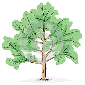 Simplified image - crone of tree