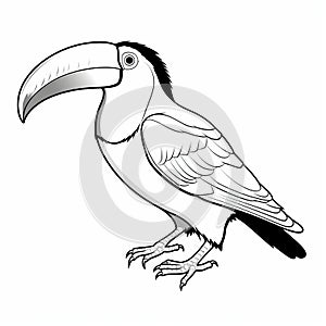 Simplified Line Drawing Of A Toucan: Children\'s Coloring Page