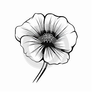 Simplistic Black And White Poppy Flower Design