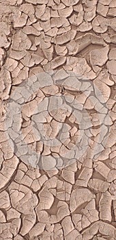 Simply dry mud in the desert