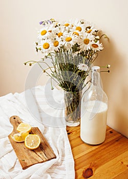 Simply stylish wooden kitchen with bottle of milk and glass on table, summer flowers camomile, healthy food moring