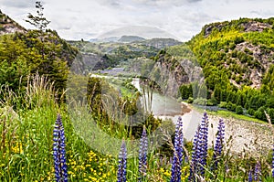 Simpson River Valley, Patagonia, Chile. Overcast day.