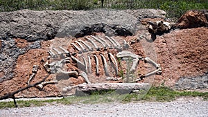 simulated bull skeleton