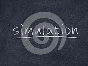 Simulation