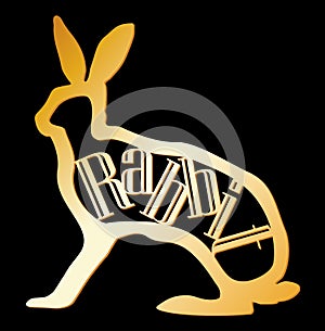 Simvol 2011 year of the rabbit