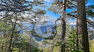 Sinacher Gupf - Panoramic view of the Karawanks in Carinthia, Austrian Alps photo