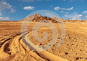 Sinai desert landscape