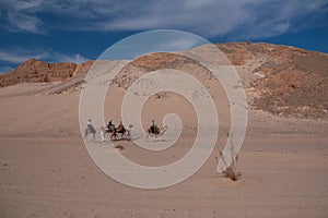 Sinai desert with sand and sun under blue sky in december with p