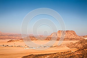Sinai's desert