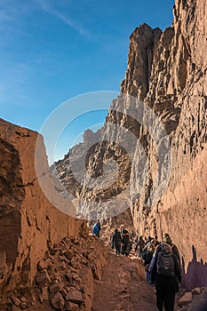 A trip to sinai desert