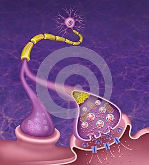 Sinapsis de Dopamina en el mal de Parkinson, ComposiciÃ³n esquemÃ¡tica y descriptiva