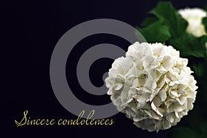 Sincere condolences. Condolence card