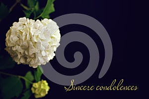 Sincere condolences text written on condolence card