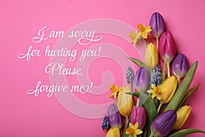Sincere sorry message and many beautiful flowers on pink background, top view