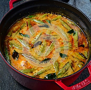 Sindhi kadhi in a dutch oven photo