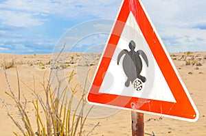 Sing of turtle nesting season