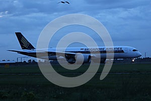 Singapore Airlines Airbus doing taxi in airport