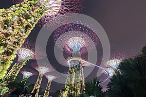 Singapore,Asia, Singapore Gardens by the Bay famous place for tourist.Gardens by the Bay is a nature park spanning 101