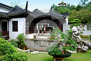 Singapore: Bonsai Garden at the Chinese Garden