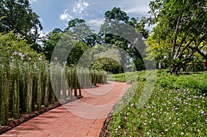 The Singapore Botanic Gardens.