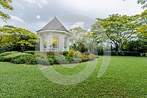 The Singapore Botanic Gardens.