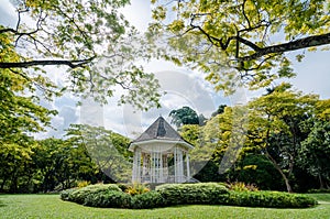 The Singapore Botanic Gardens.