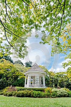 The Singapore Botanic Gardens.