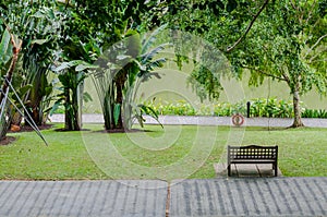 The Singapore Botanic Gardens.