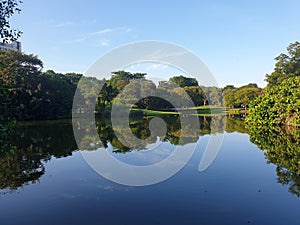 Singapore Botanic Gardens Eco Lake