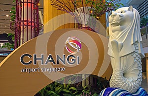 Singapore Changi Airport Signage