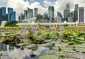 Singapore city skyline financial district