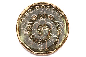 singapore coin