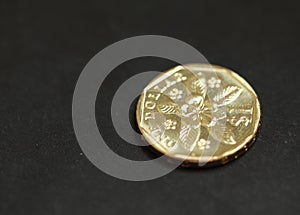 Singapore coin