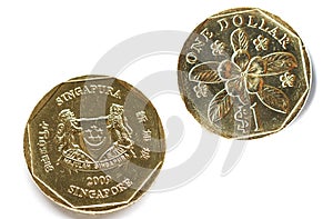 Singapore Coins