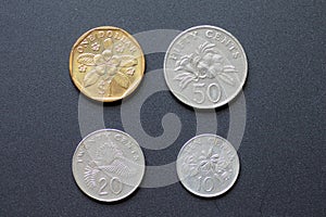 Singapore coins