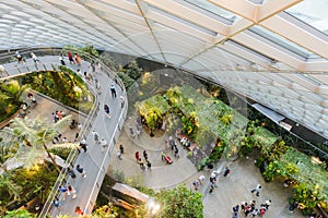 SINGAPORE - December 19, 2019: Top view of inside interor walkway bridge in the Cloud Forest Dome at Gardens by the Bay, Singapore