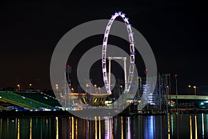 Singapore flyer