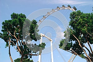 The Singapore flyer ferris wheel view