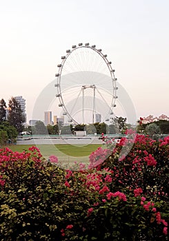 The Singapore Flyer is a giant Ferris wheel