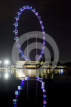 Singapore Flyer at Night