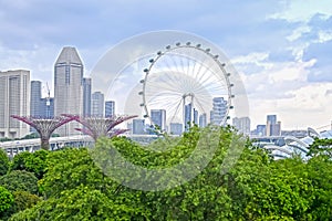 Singapore Flyer and Supertrees photo