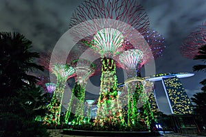 Singapore garden