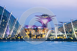 Singapore Garden by the bay