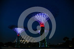 Singapore garden. Buddha, chinatown. Supertrees in Gardens By the Bay, situated in marina bay area in Singapore, it`s a new design