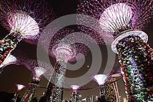 Singapore Gardens by the bay artificial tree travel visit places moon night light tour