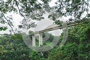 Singapore Henderson wave bridge at Mount Faber Park