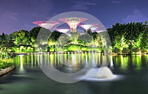   bahía por la noche un árbol en el jardín 