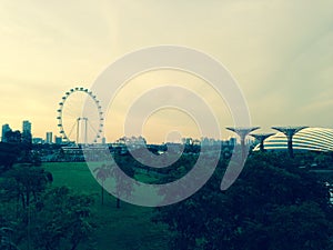 Singapore new botanical gardens and ferris wheel